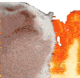 Catjam Fire Catjam Sticker