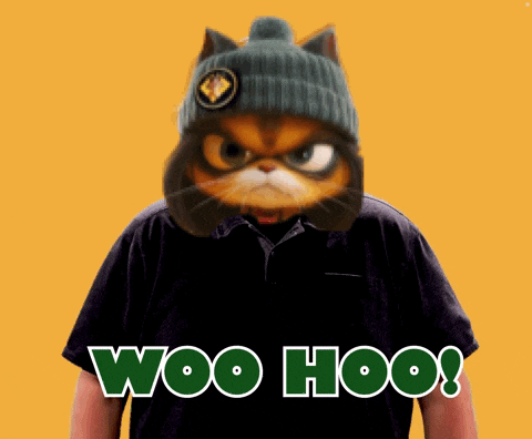 Catnamedtoast Baby Yolo Token GIF