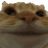 Catno Sticker