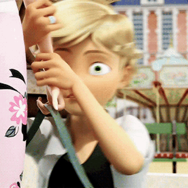 Catnoir Ladybug GIF