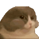 Catnum Cat Nom Sticker