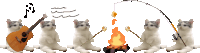 Cats Cat Bonfire Sticker