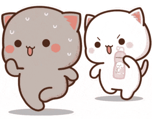 Cats Chasing Chase GIF