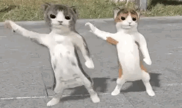 Cats Dancing Dancing 3d Cat GIF