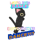 Cats Funny Funny Cats Sticker