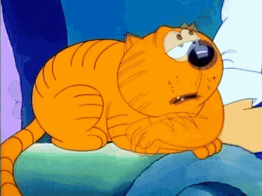 Cats Funny GIF