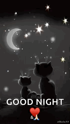 Cats Goodnight GIF