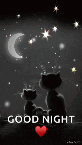 Cats Goodnight GIF
