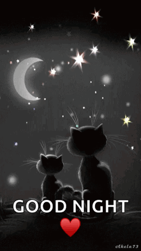 Cats Goodnight GIF