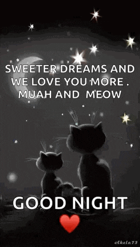 Cats Goodnight GIF