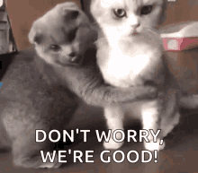 Cats Hug GIF. This 220 x 193 animated GIF is part of our hug meme collection. Created by JibberishSoul. View the original animation, share it, or browse…