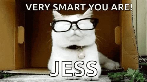 Cats In Glasses Smart Cat GIF