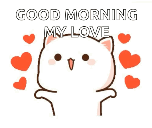 Cats Kisses GIF