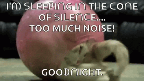 Cats Tail GIF