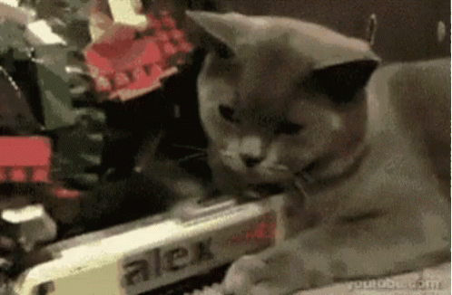 Cats Trains GIF. This 498 x 326 animated GIF is part of our i like trains collection. View the original animation, share it, or browse related GIFs.