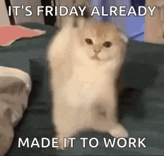Cats Urik3852 GIF
