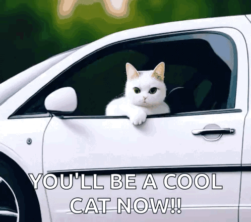 Cats Wave GIF