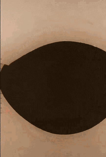 Catto Curious GIF