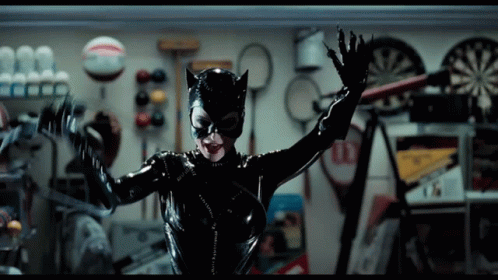 Catwoman Dc Comics GIF