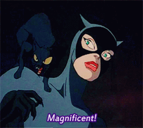 Catwoman Selina Kyle GIF