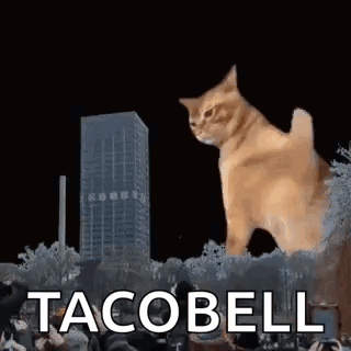 Catzilla Smack Cat GIF