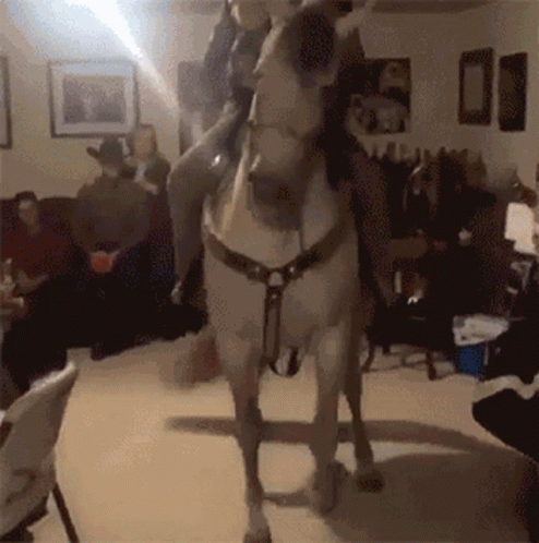 Cavalo Horse GIF