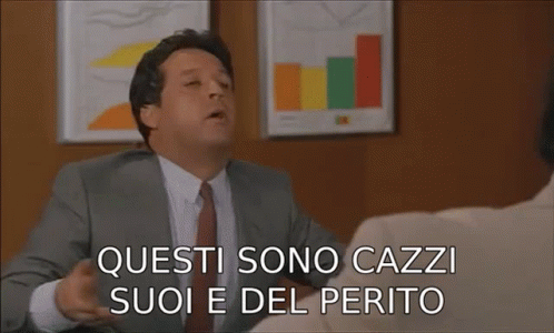 Cazzi Suoi E Del Perito Renato Pozzetto GIF