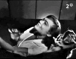 Cecemaraj GIF