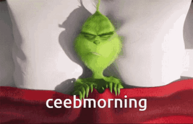 Ceeb Ceebs GIF