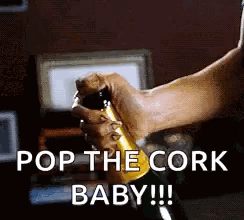 Celebrate Champagne GIF