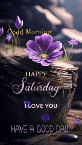 Celestra Saturday Purple Country Meme