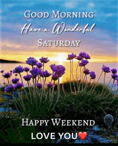 Celestra Saturday Purple Sunrise Meme