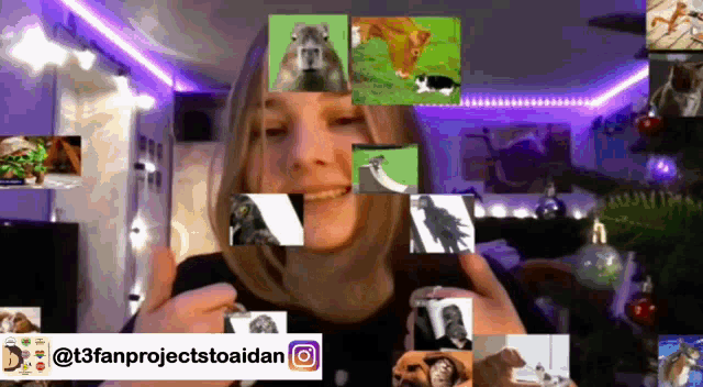 Celice Mod Mod Celice GIF