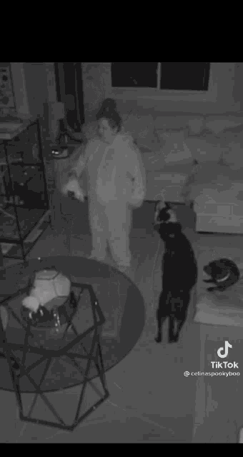 Celina Spookyboo GIF