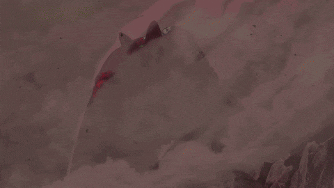 Cell Max Dragon Ball GIF