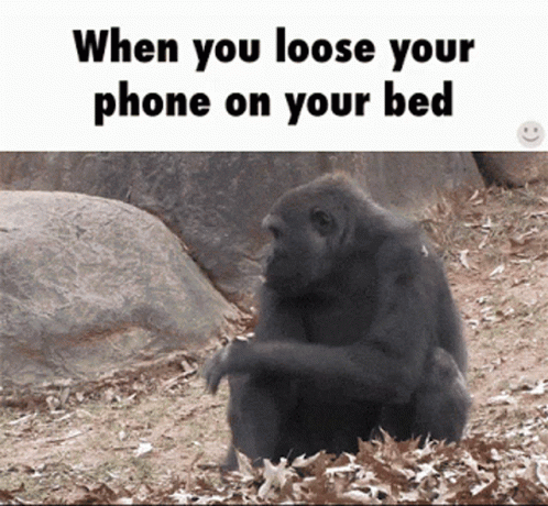Cellphone Gorilla GIF