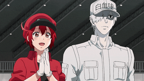 Cells At Work Red Blood Cells Cells At Work White Blood Cells GIF