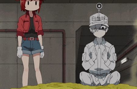 Cells At Work Red Blood Cells Cells At Work White Blood Cells GIF