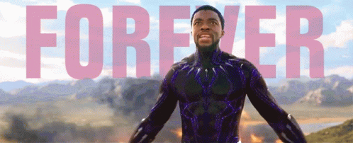 Chadwick Boseman Black Panther GIF