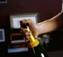 Champagne GIF