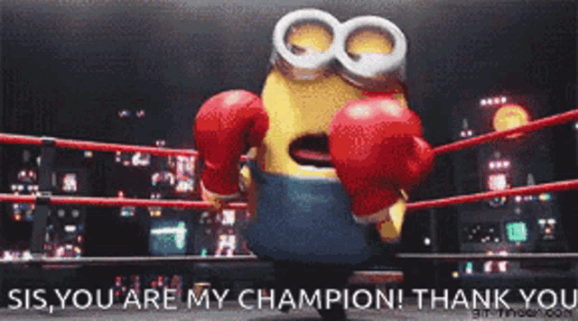 Champion Cute GIF