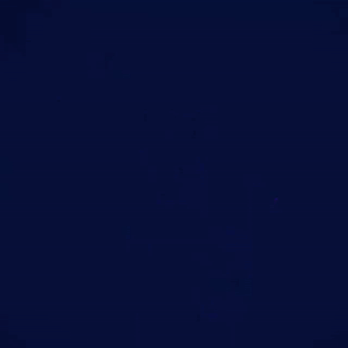 Champion GIF