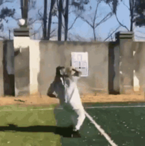 Chancla Training GIF