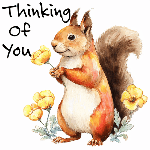 Chaos Library Greetings GIF. This 498 x 498 animated GIF is part of our funny squirrel collection. Related themes include cute, funny, hello. Created by…