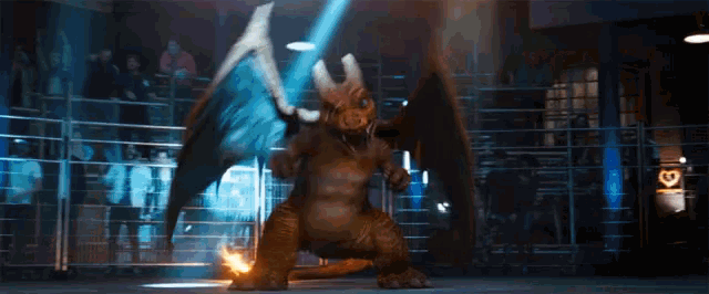 Charizard Charmander GIF