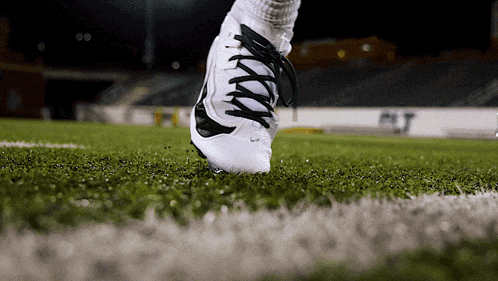 Charlotte Charlotte Football GIF