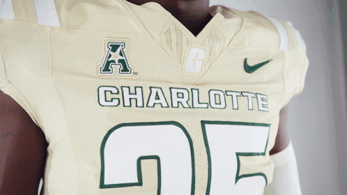 Charlotte Football Charlotte Gold Rush GIF
