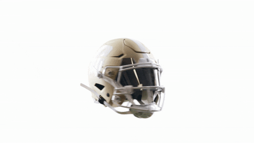 Charlotte Football Charlotte Gold Rush GIF