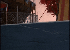 Charlottes Web Cartoon Out All Night GIF