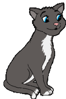 Charly Cat Sticker